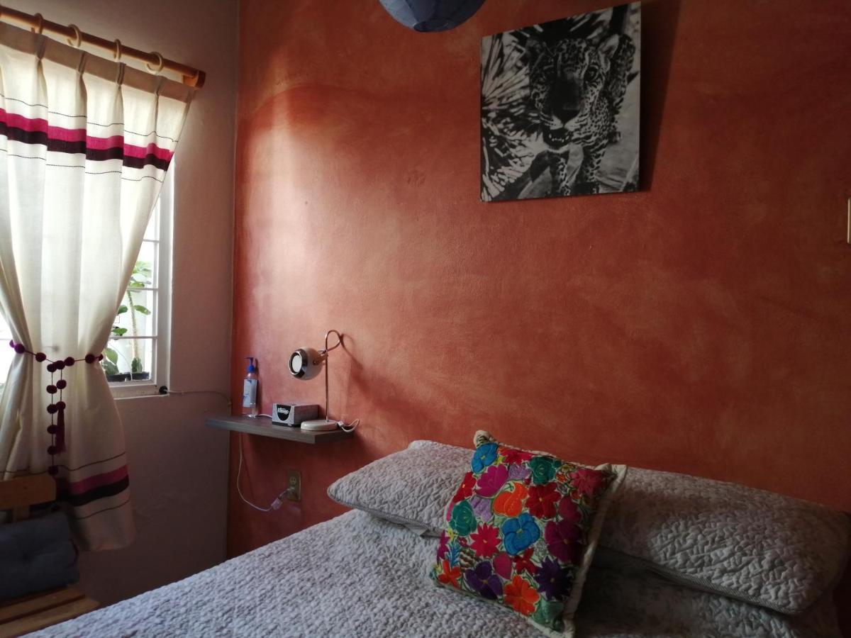 Casa Mixteca Santo Domingo Oaxaca Villa Kültér fotó