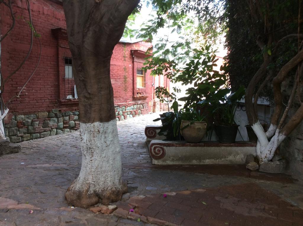 Casa Mixteca Santo Domingo Oaxaca Villa Kültér fotó